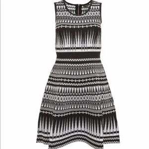 Ted Baker Gilleyy Knitted Skater Dress Black/White A-Line